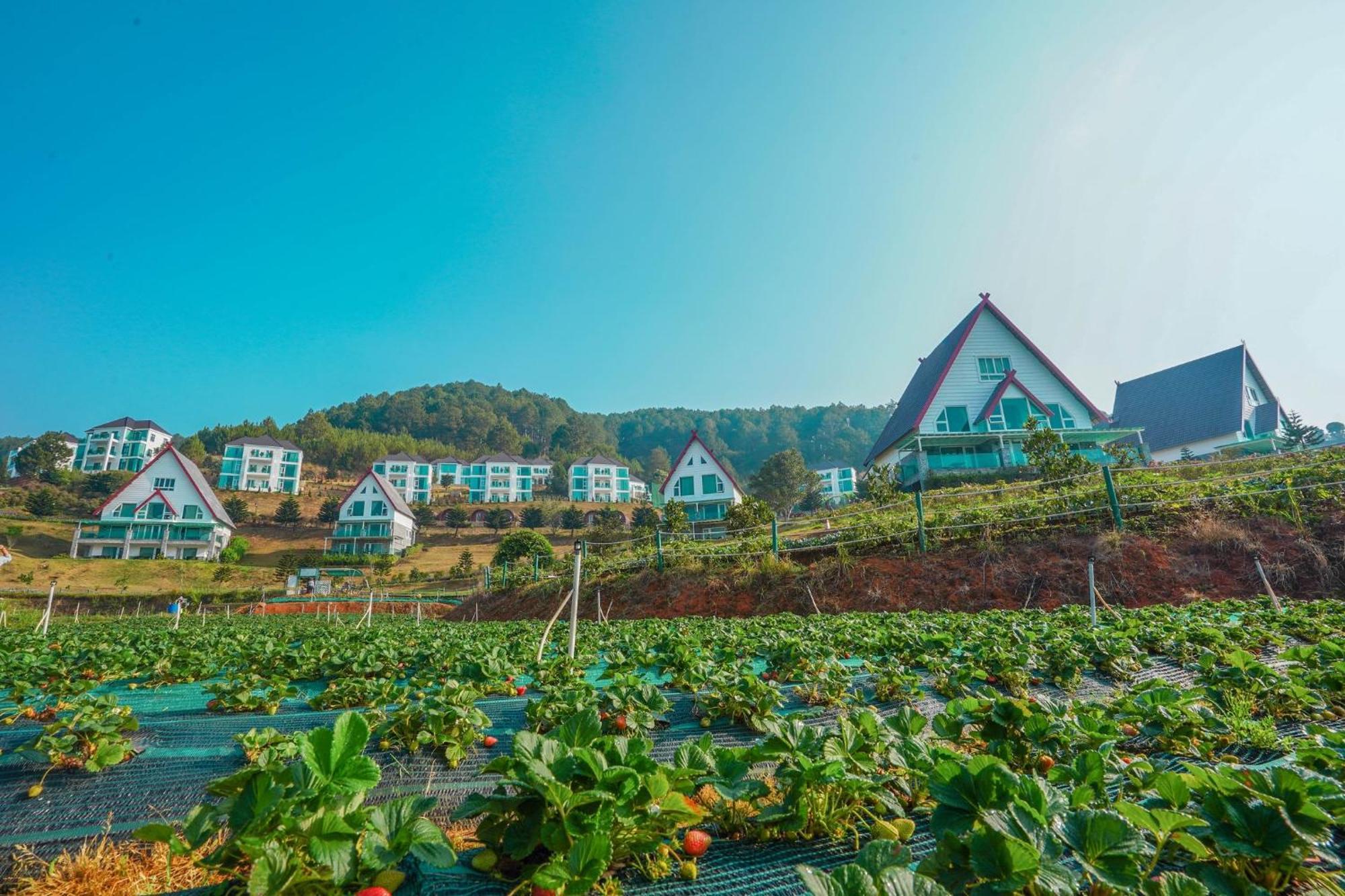 Dalat Wonder Resort Eksteriør bilde